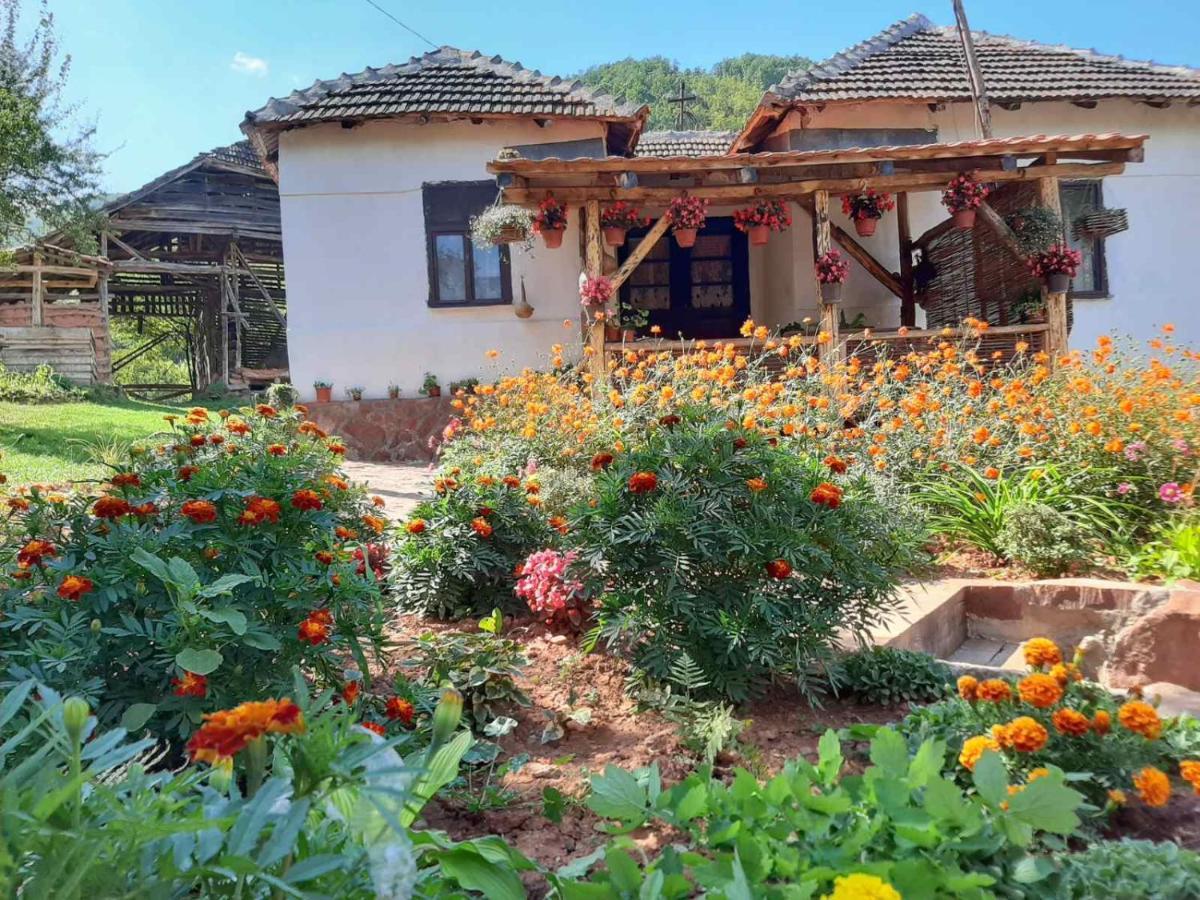 Seosko Domacinstvo „Gabar” Villa Custica Екстериор снимка