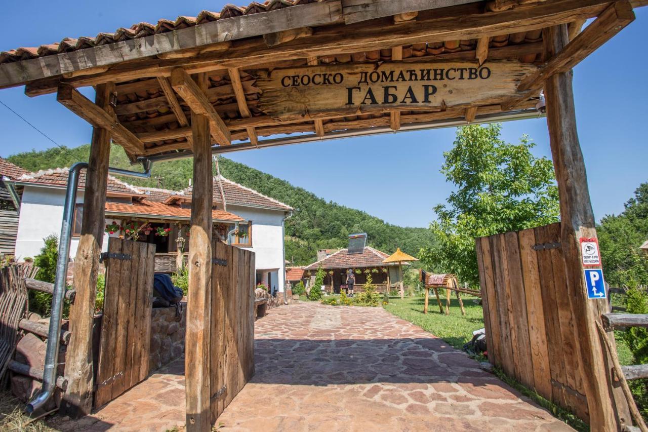 Seosko Domacinstvo „Gabar” Villa Custica Екстериор снимка